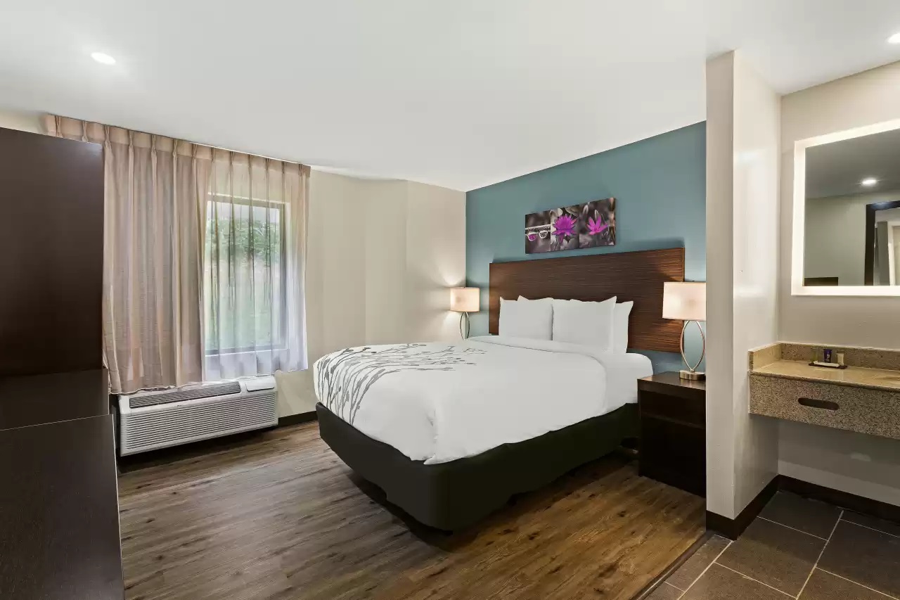 Room, King Bed, Sleep Inn Lithonia Ga 2/3