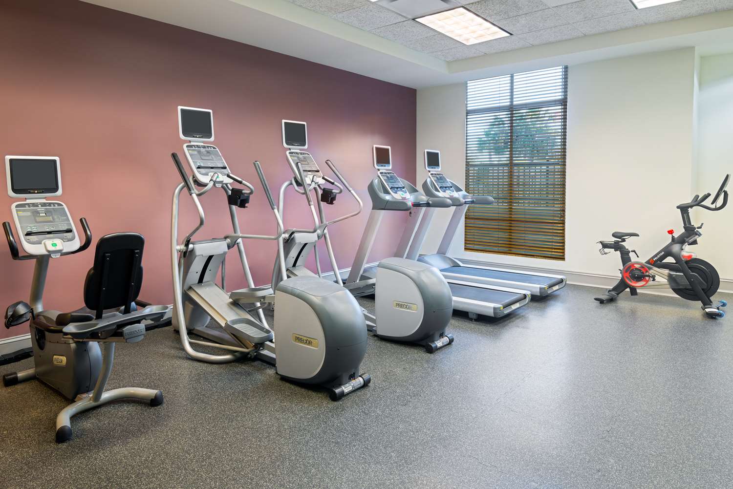 Hilton Garden Inn Tampa Riverview Brandon 23/53
