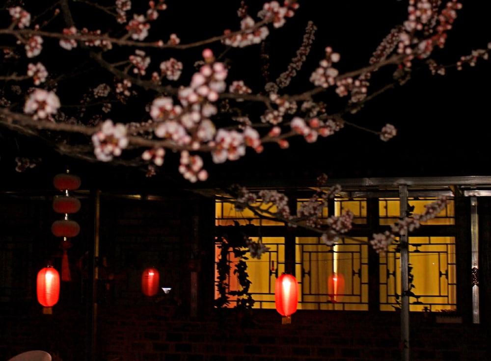 Beijing Badaling Great Wall Caos Hostel 8/50