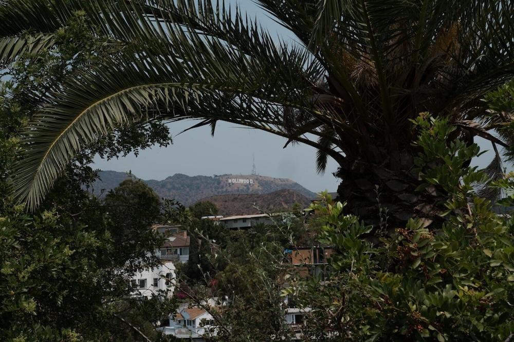 Hollywood Hills Hotel 45/55