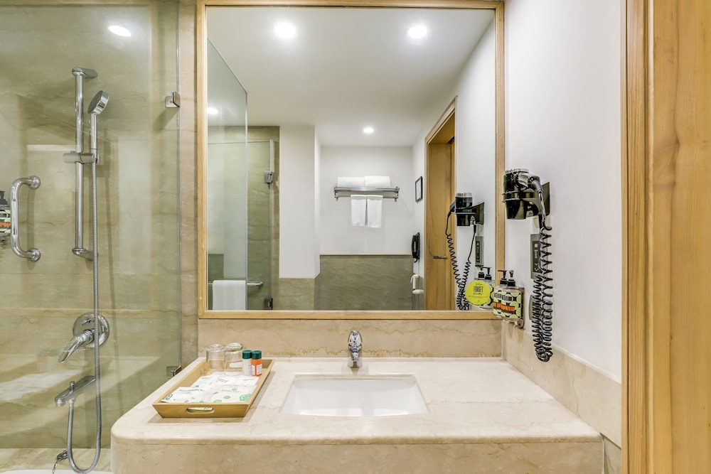 Lemon Tree Premier City Center Gurgaon 50/53