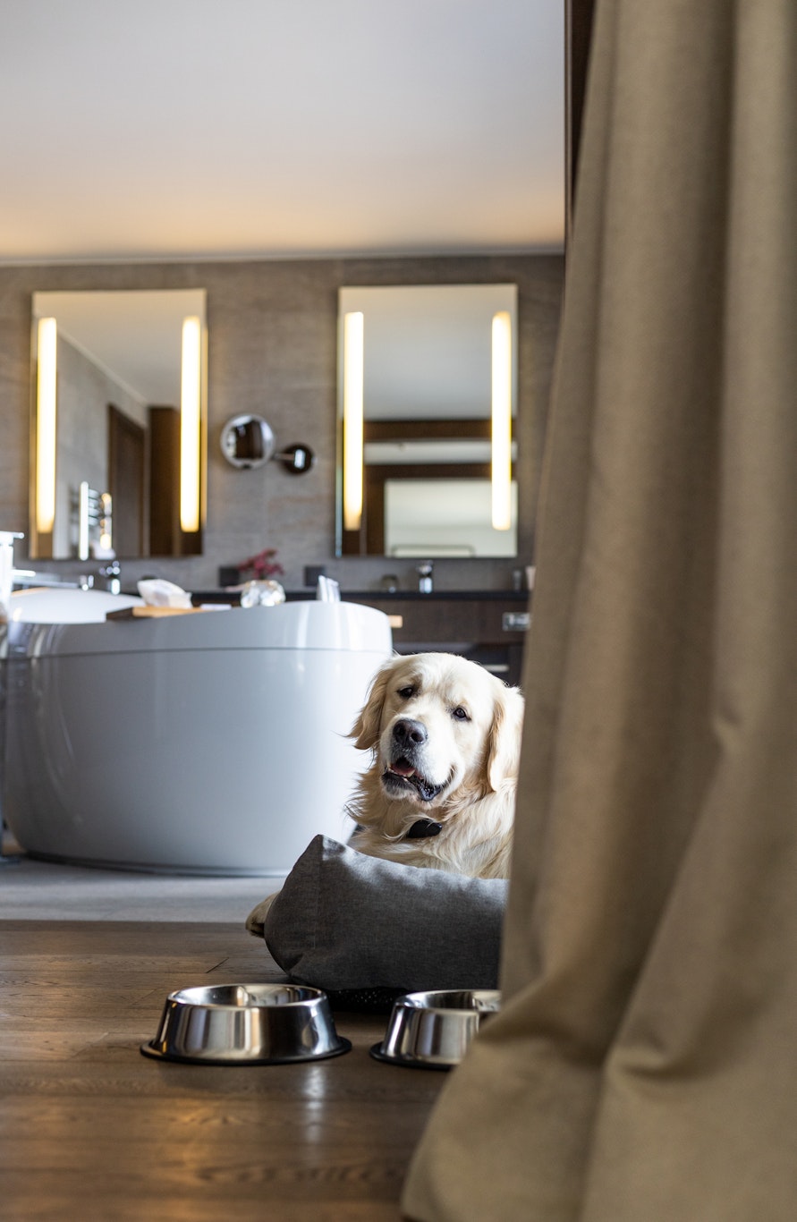Crans Ambassador Luxury Sport Resort 13/86