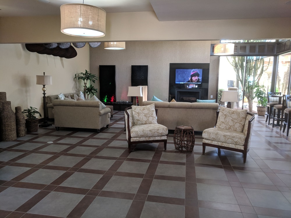 Desert Isle Of Palm Springs 30/50