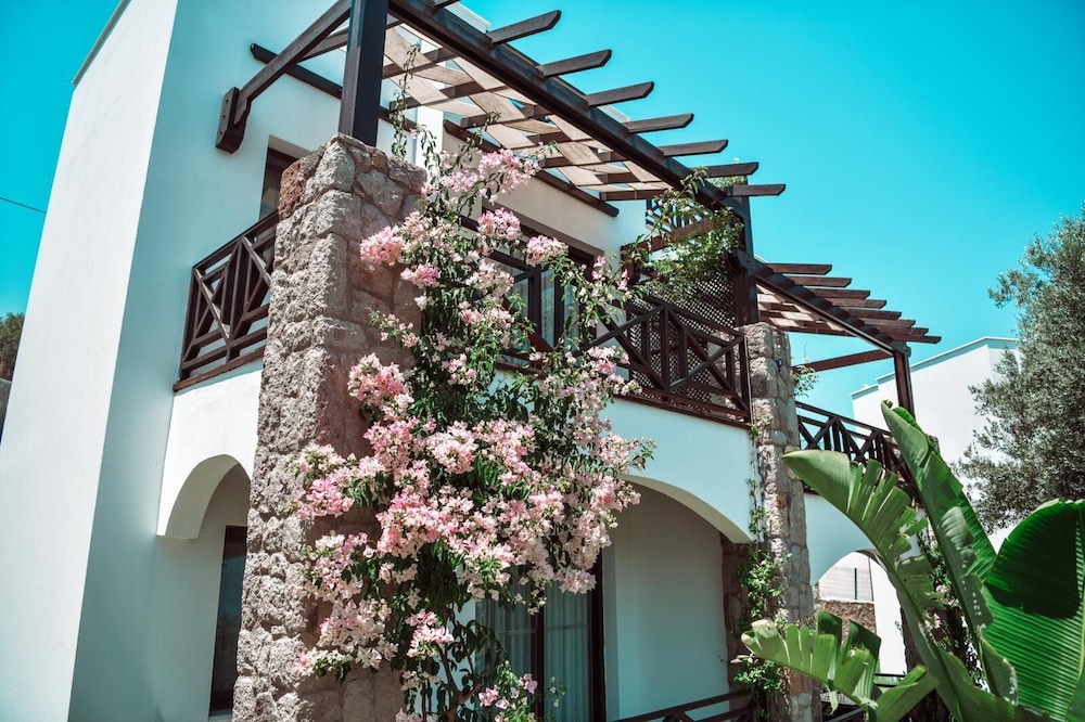 Amore Boutique Hotel 6/50