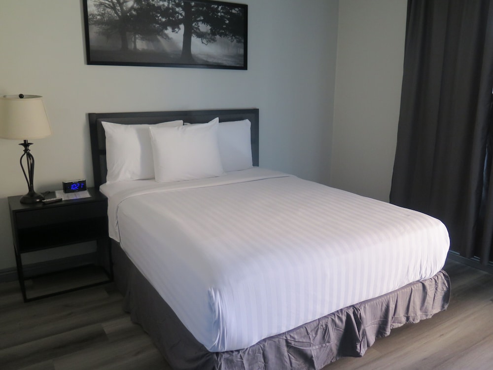 DTLA Hotel 20/30