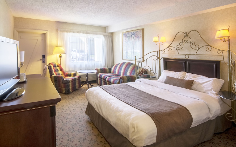 ECONOMY, QUEEN BED, SOFA