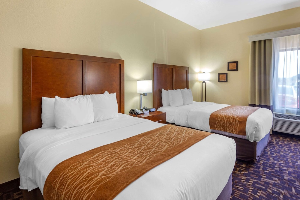 Comfort Inn and Suites North Aurora Naperville 11/50