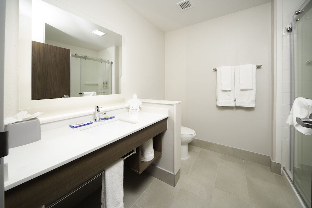 Holiday Inn Express & Suites Fort Myers Airport 48/54