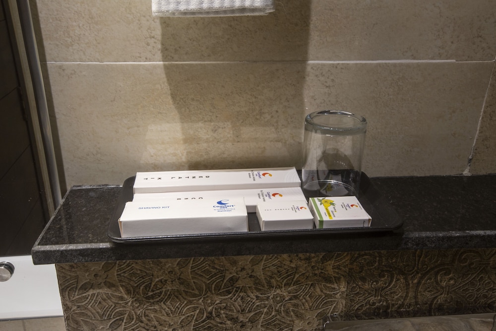 Comfort Inn Rishikesh 64/64