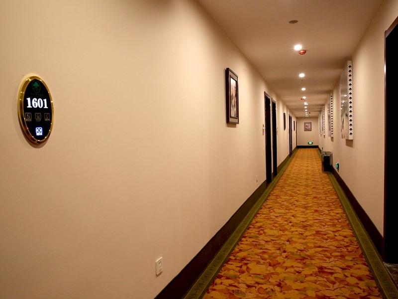 GreenTree Inn BengBu Huaiyuan County Yudu Avenue Xinhe Road Express Hotel 19/29