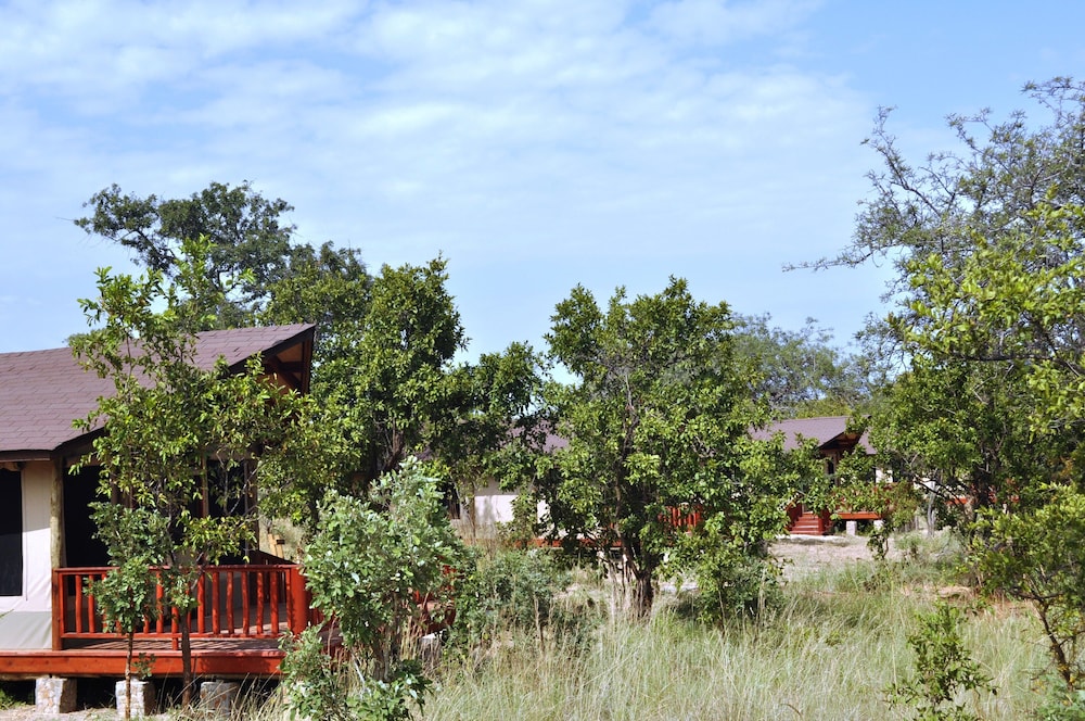 Balloon Camp Tarangire 29/31