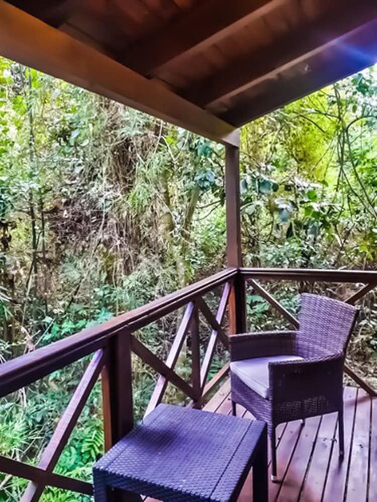 Selva de Laurel 48/71