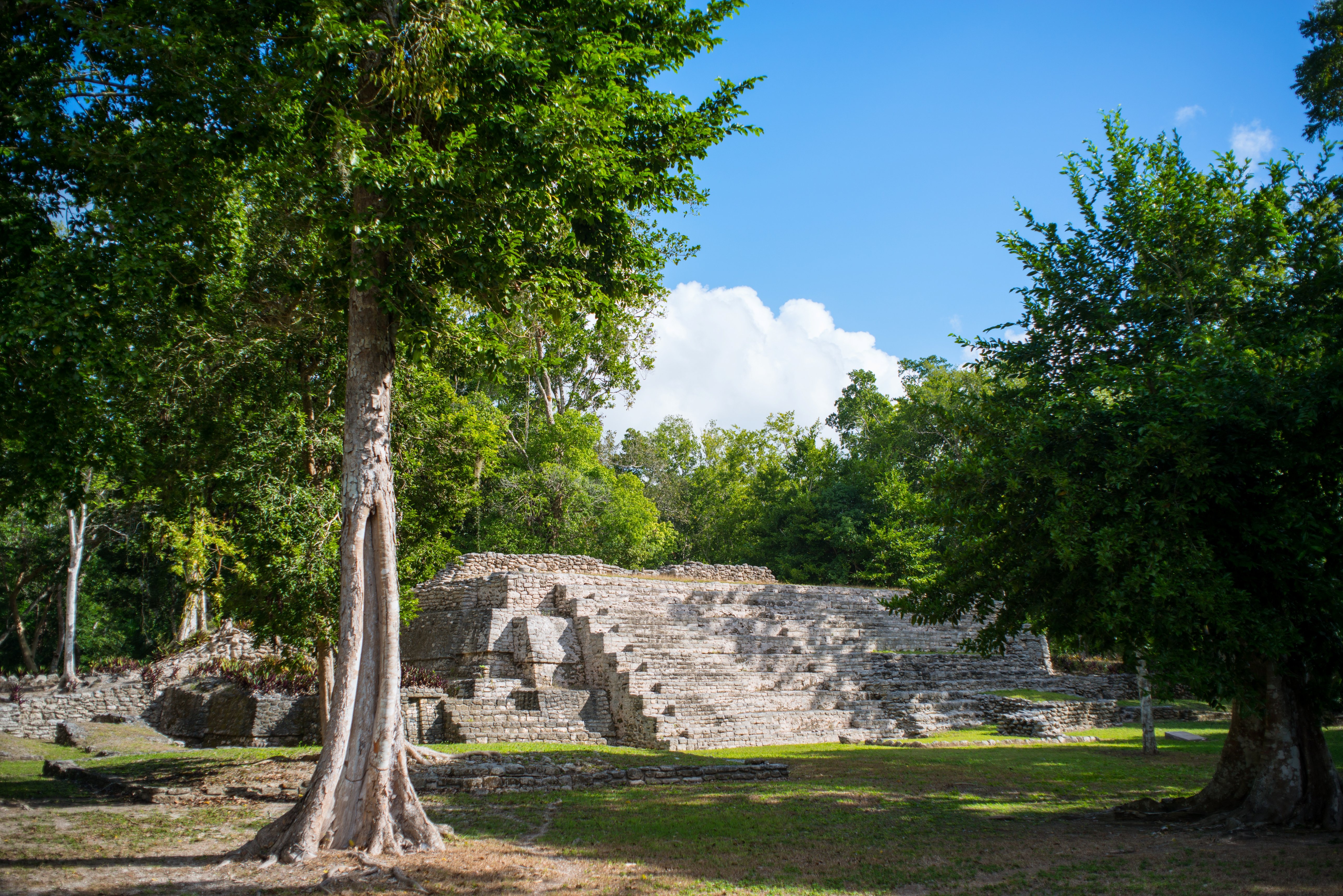 The Explorean Selva Maya Kohunlich 44/50