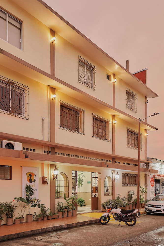 Hotel Cervantino 6/50
