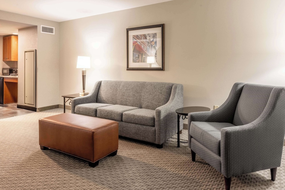 Drury Plaza Hotel Broadview Wichita 31/50