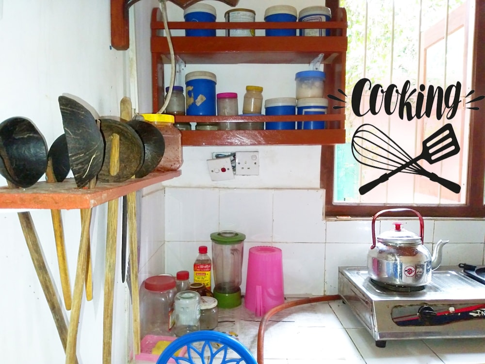 Green Herbal Ayurvedic Eco-Lodge 10/54