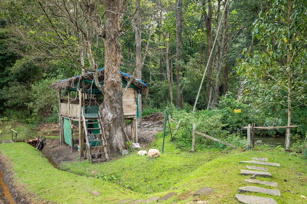 The Woods Resort 40/48