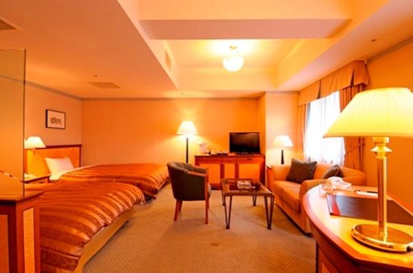 Hotel Plaza Kachigawa 19/20