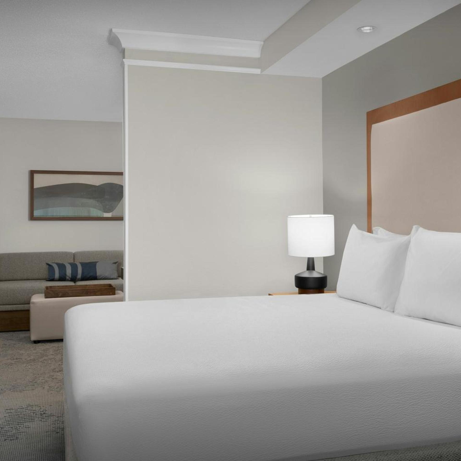 Suite, King Bed, Trundle Bed, Sofa, Bathtub, Accessible
