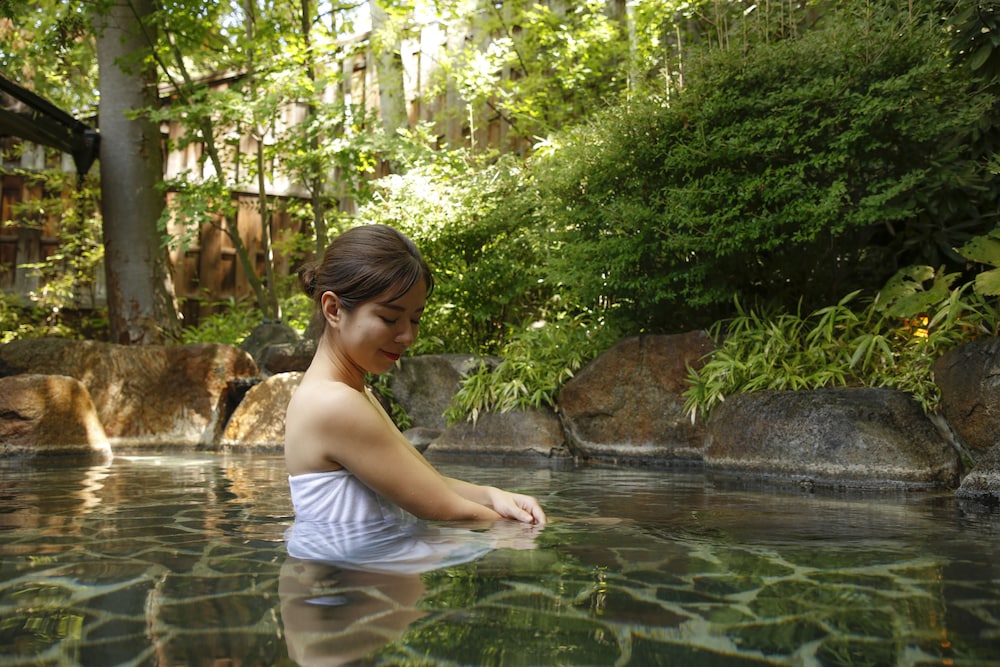 Tateshina Park Hotel (ex. Tateshina Ai) 27/69