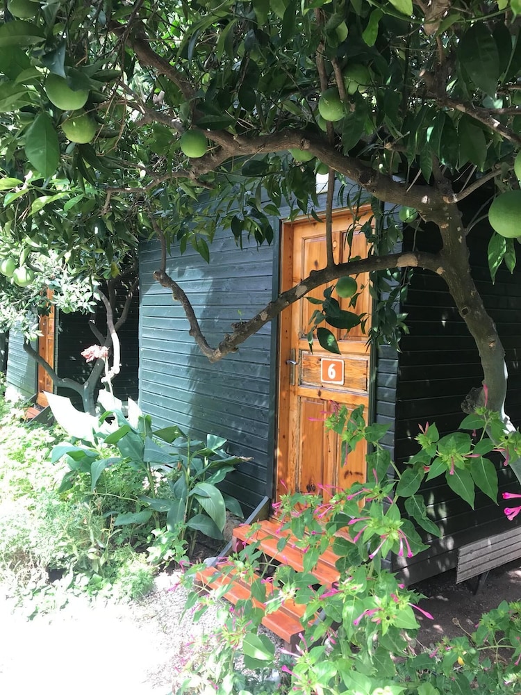 Olympos Tatilya Pansiyon 3/41