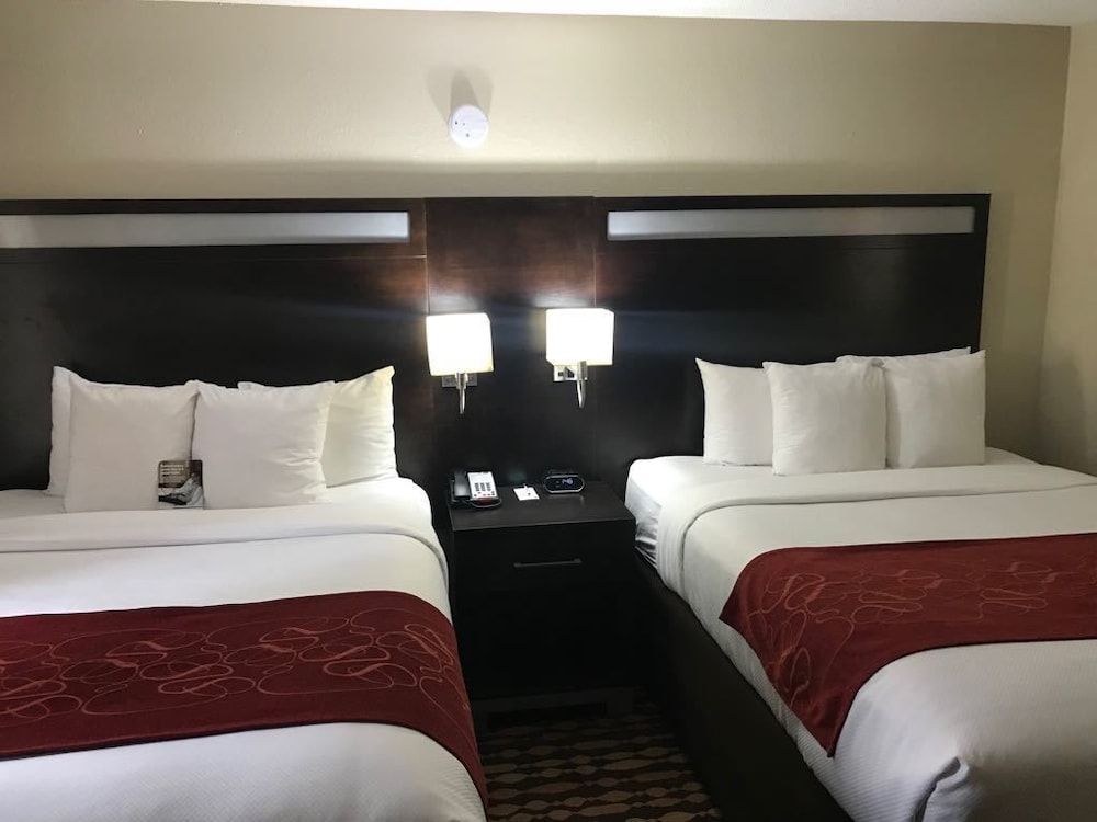 Comfort Suites Northside Hospital Gwinnett 17/47