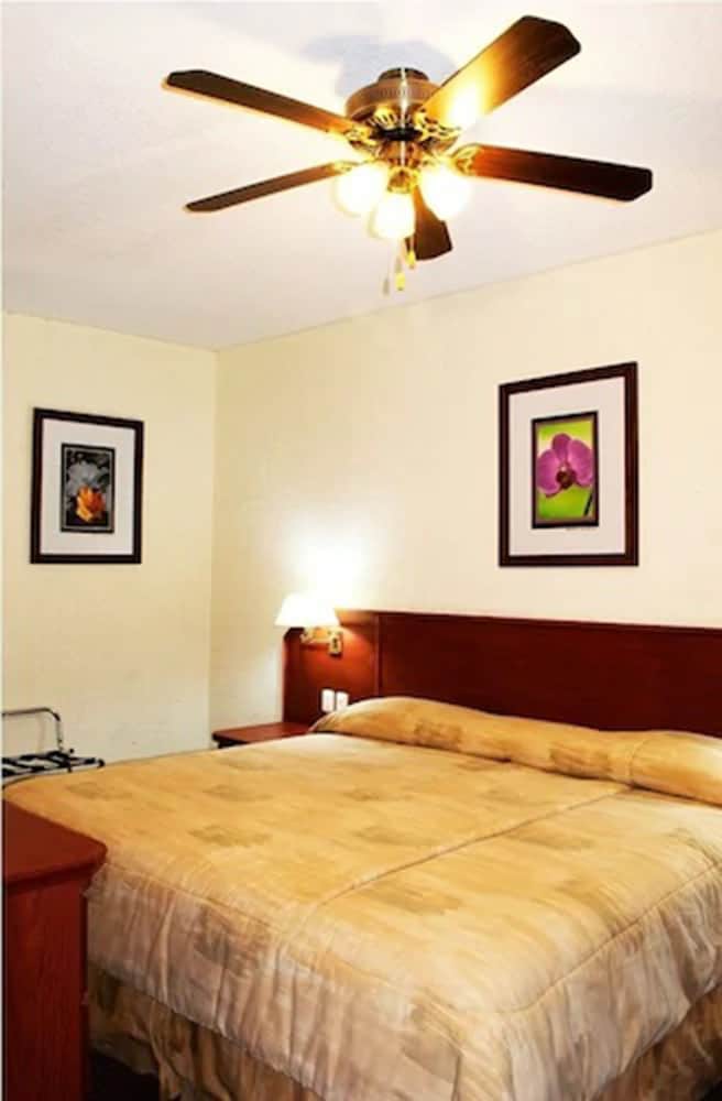 Hotel Marcella Clase Ejecutiva 11/28