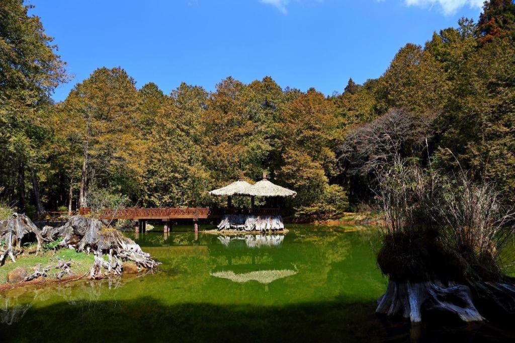 Ali-Shan Kaofeng Hotel 34/36