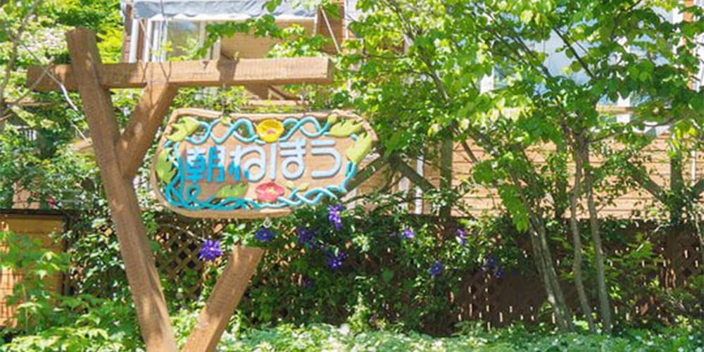 Pension Asanebou 39/50