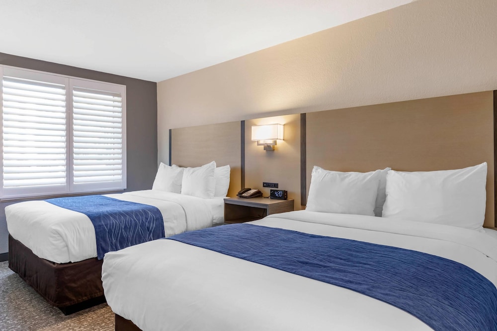 STANDARD, 2 QUEEN BEDS, PET FRIENDLY