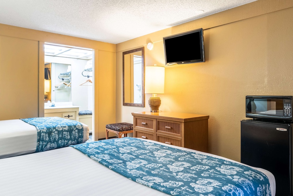 Super 8 by Wyndham Kissimmee/Orlando 15/50
