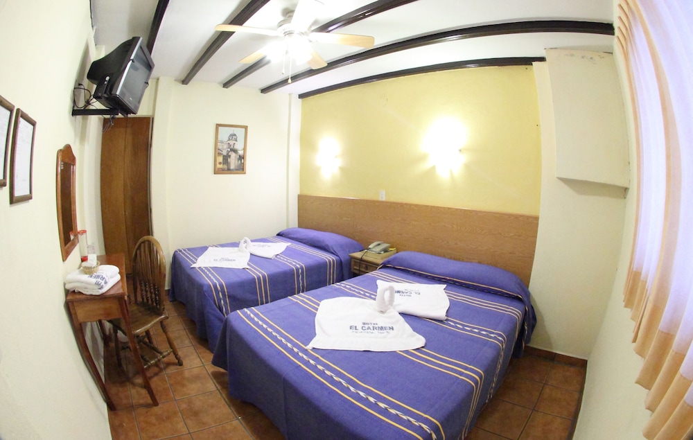 Hotel El Carmen 26/59