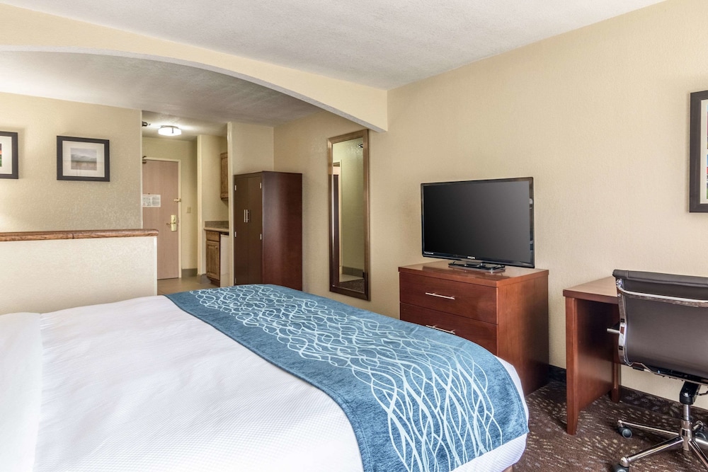 Upgrade, Efficiency, Suite, King Bed, Sofa