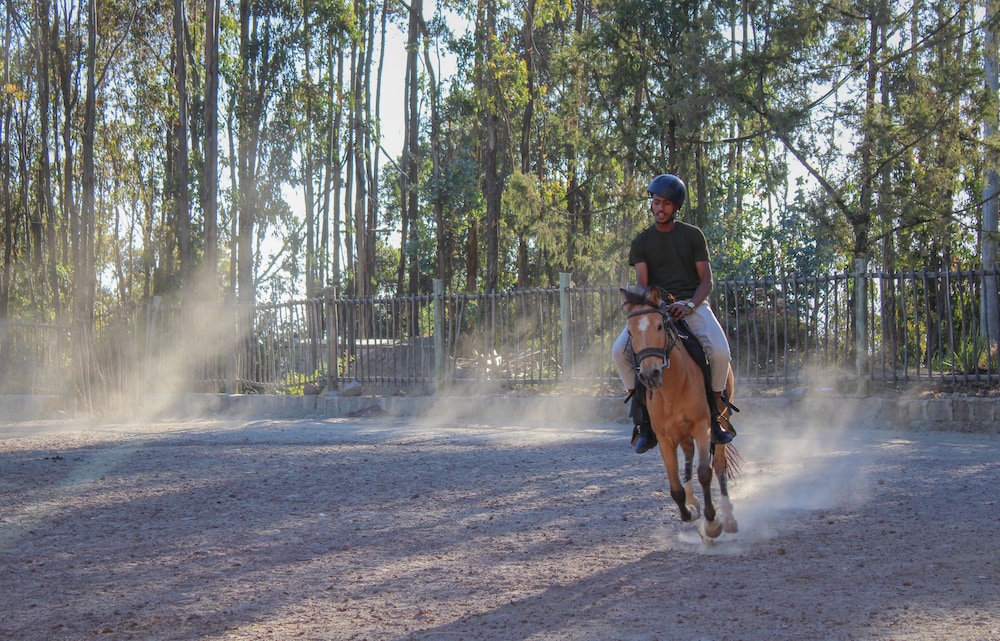Kuriftu Entoto Adventure Park 34/39