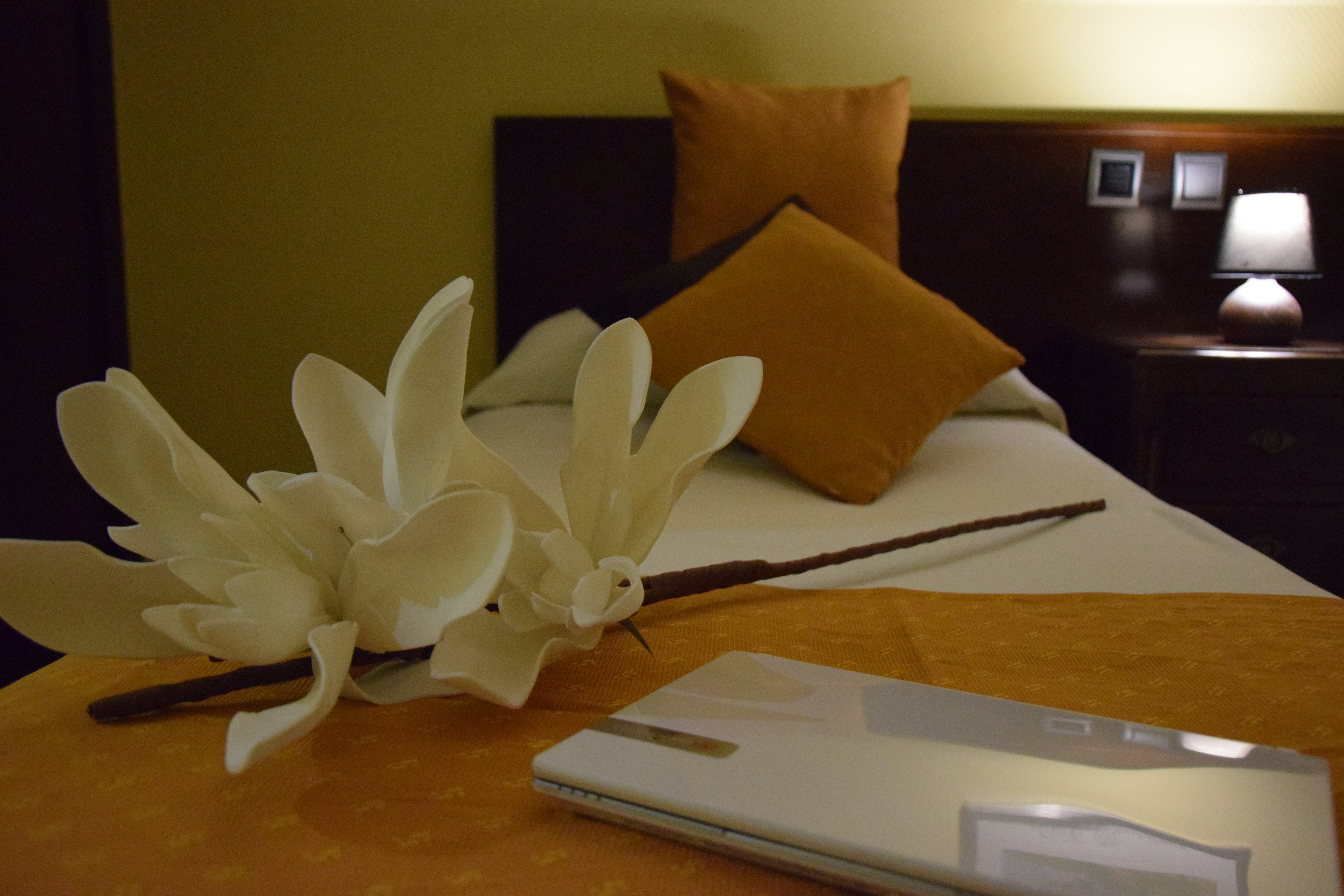 Hostal Complutense 21/28