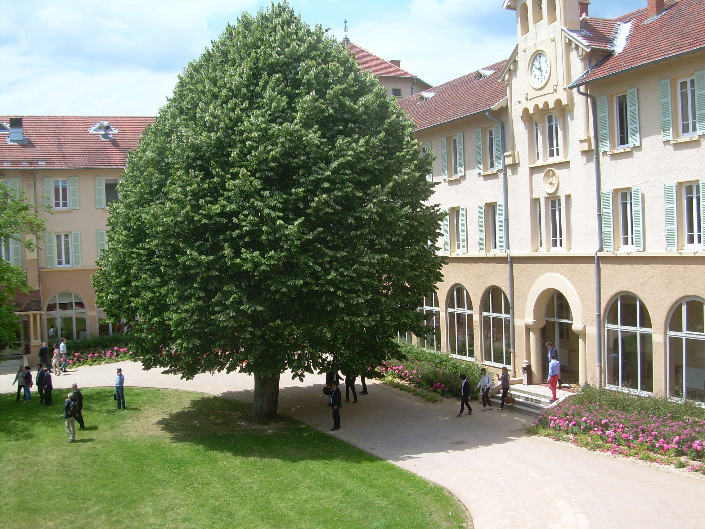Domaine Lyon Saint Joseph 7/8