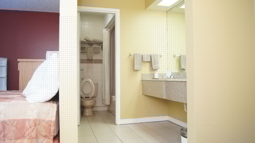 Holiday Lodge And Suites 25/46