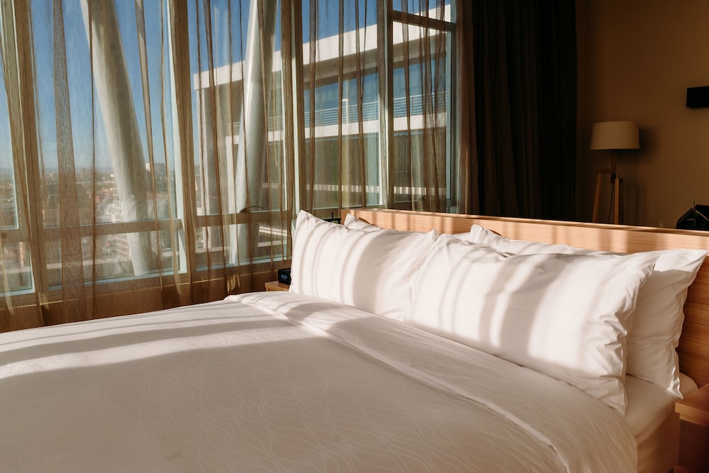 Hotel Costanera Concepcion 13/48