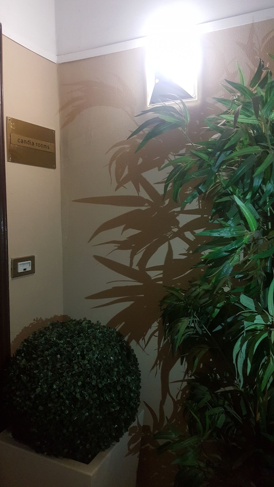 Candia Rooms 10/21