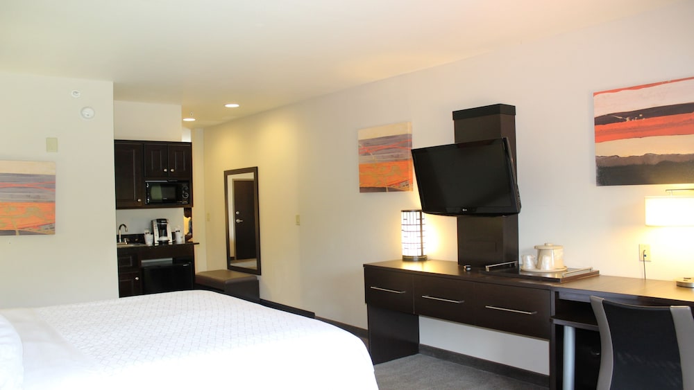Suite, King Bed, Accessible