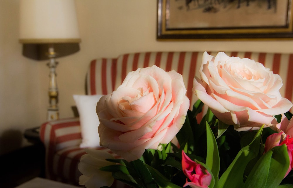 Villa Casalecchi Country Hotel 18/50