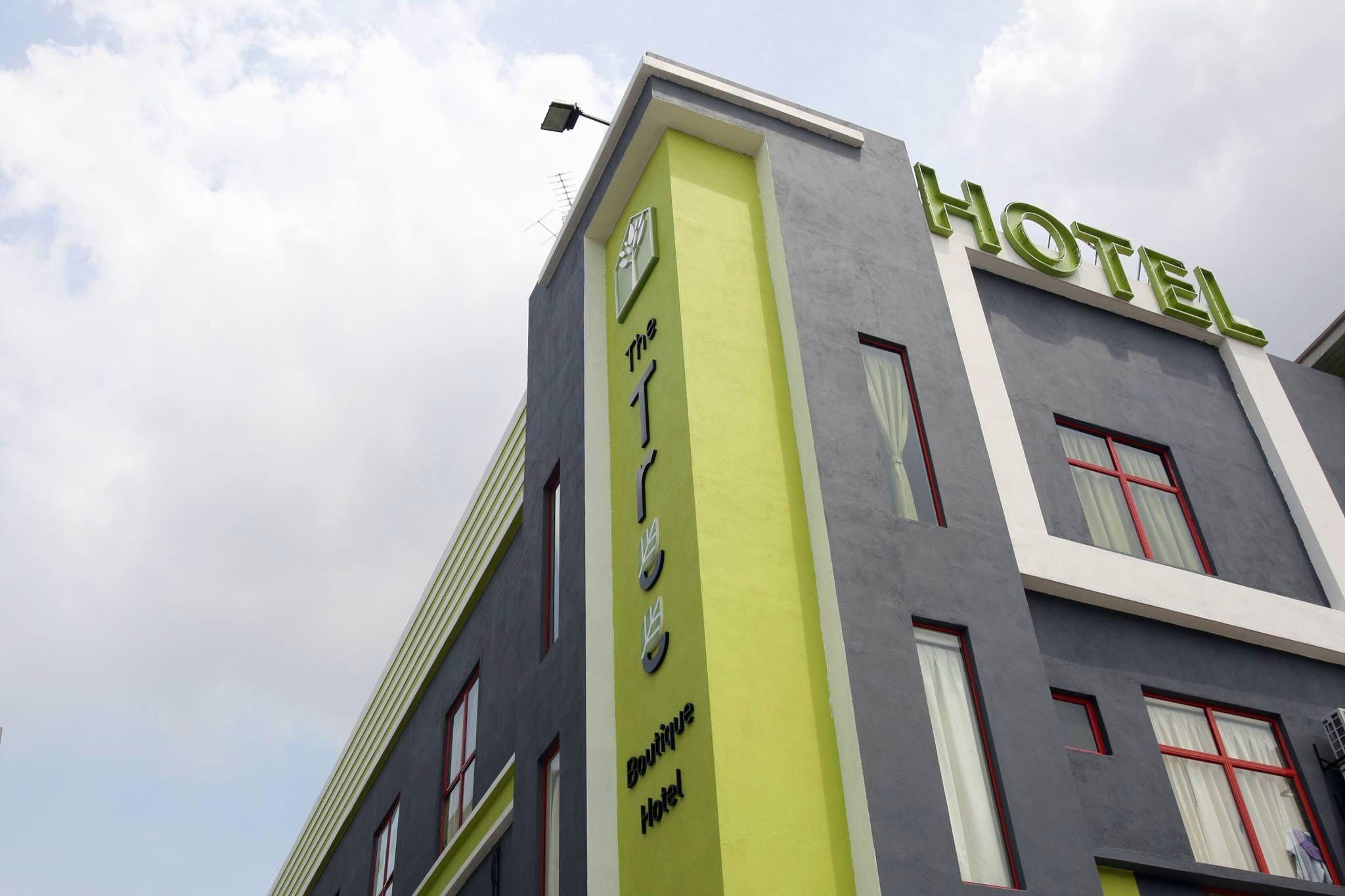 THE TREE BOUTIQUE HOTEL 6/44