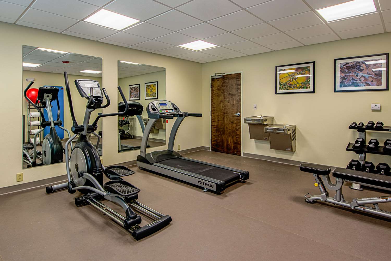 Mainstay Suites Geismar - Gonzales 24/53