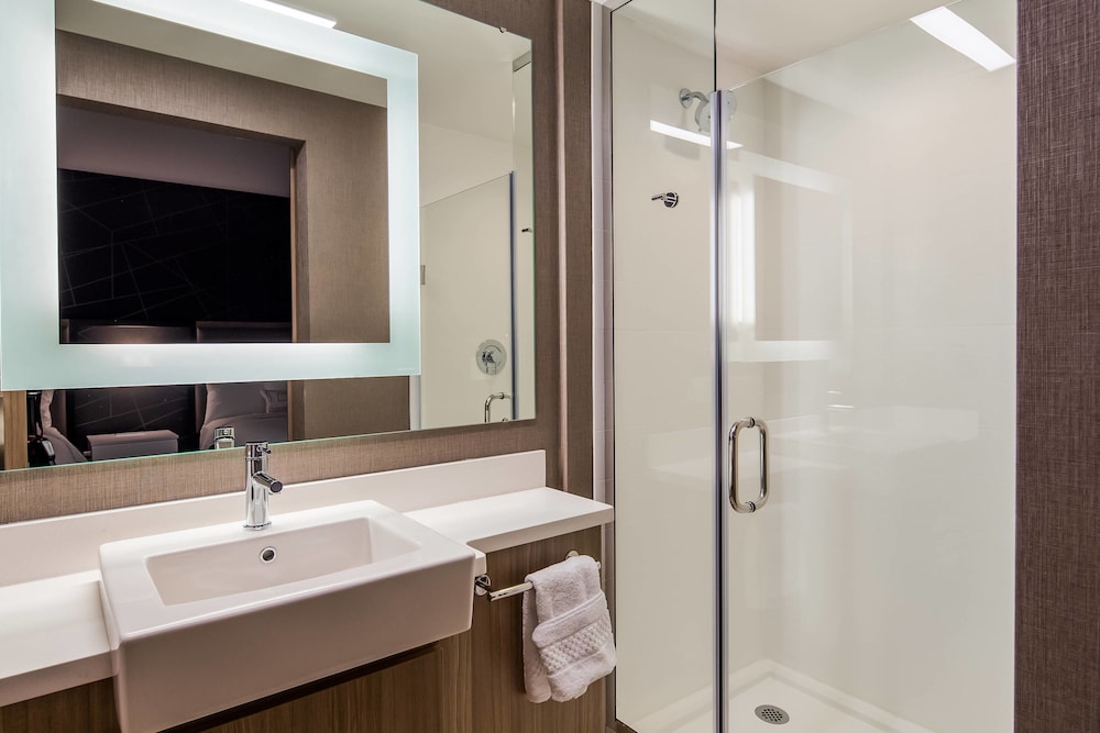 SpringHill Suites by Marriott Chambersburg 9/35