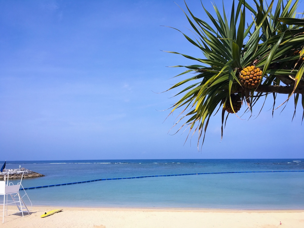 Araha Resort Arapana 39/50
