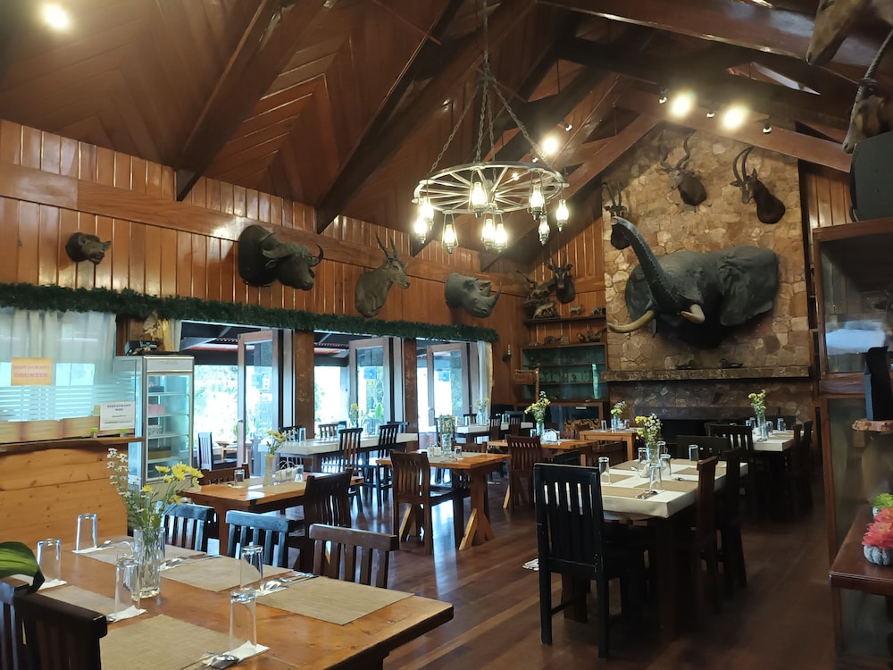 Safari Lodge Baguio By Log Cabin Hotel 59/76