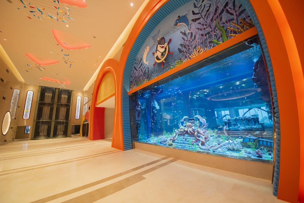 Dolphin Bay Hotel 18/38