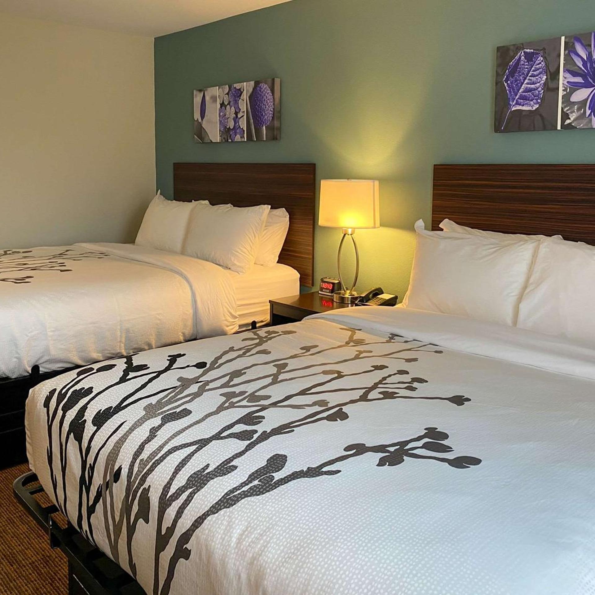 Sleep Inn and Suites Coliseum Area 7/22