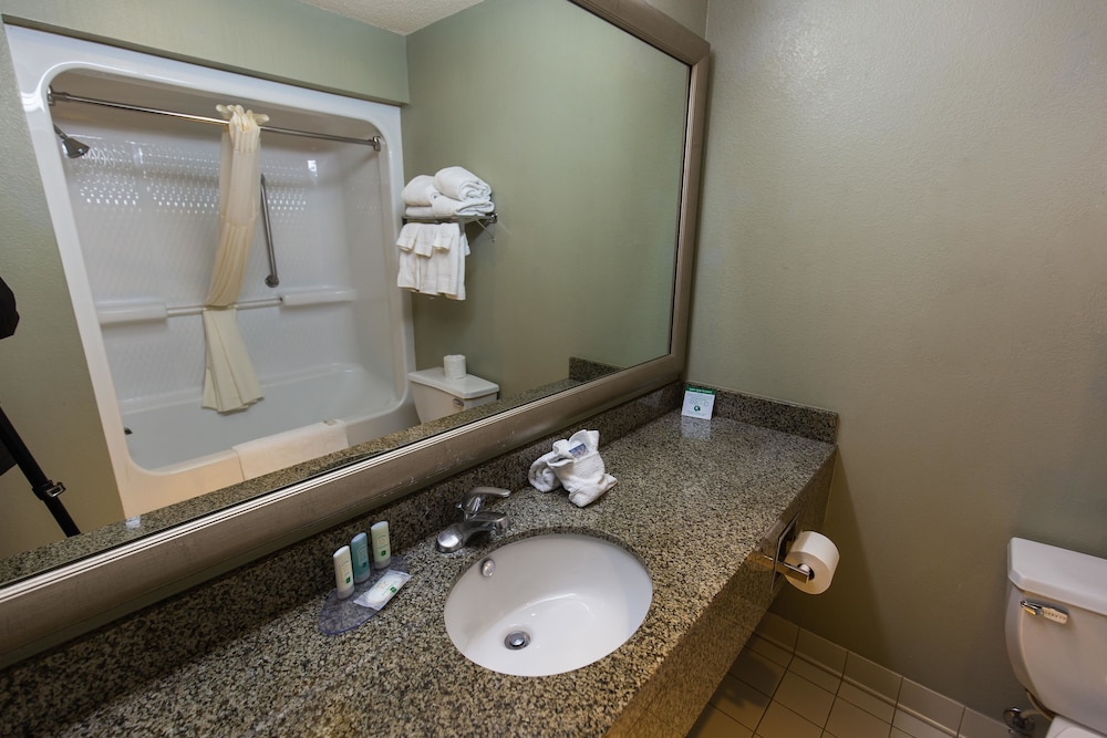 Comfort Inn Suites Near Lake Lewisville 22/43