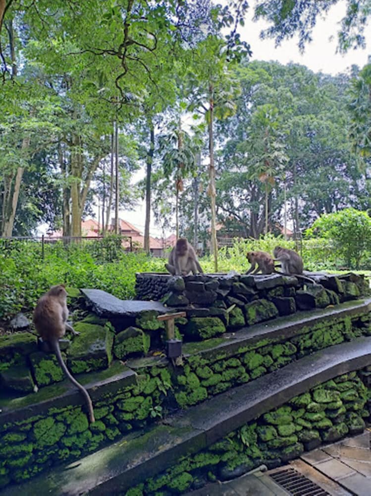 Awatara Boutique Resort Ubud 39/45